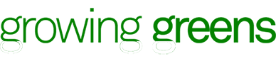 Canvas Logo